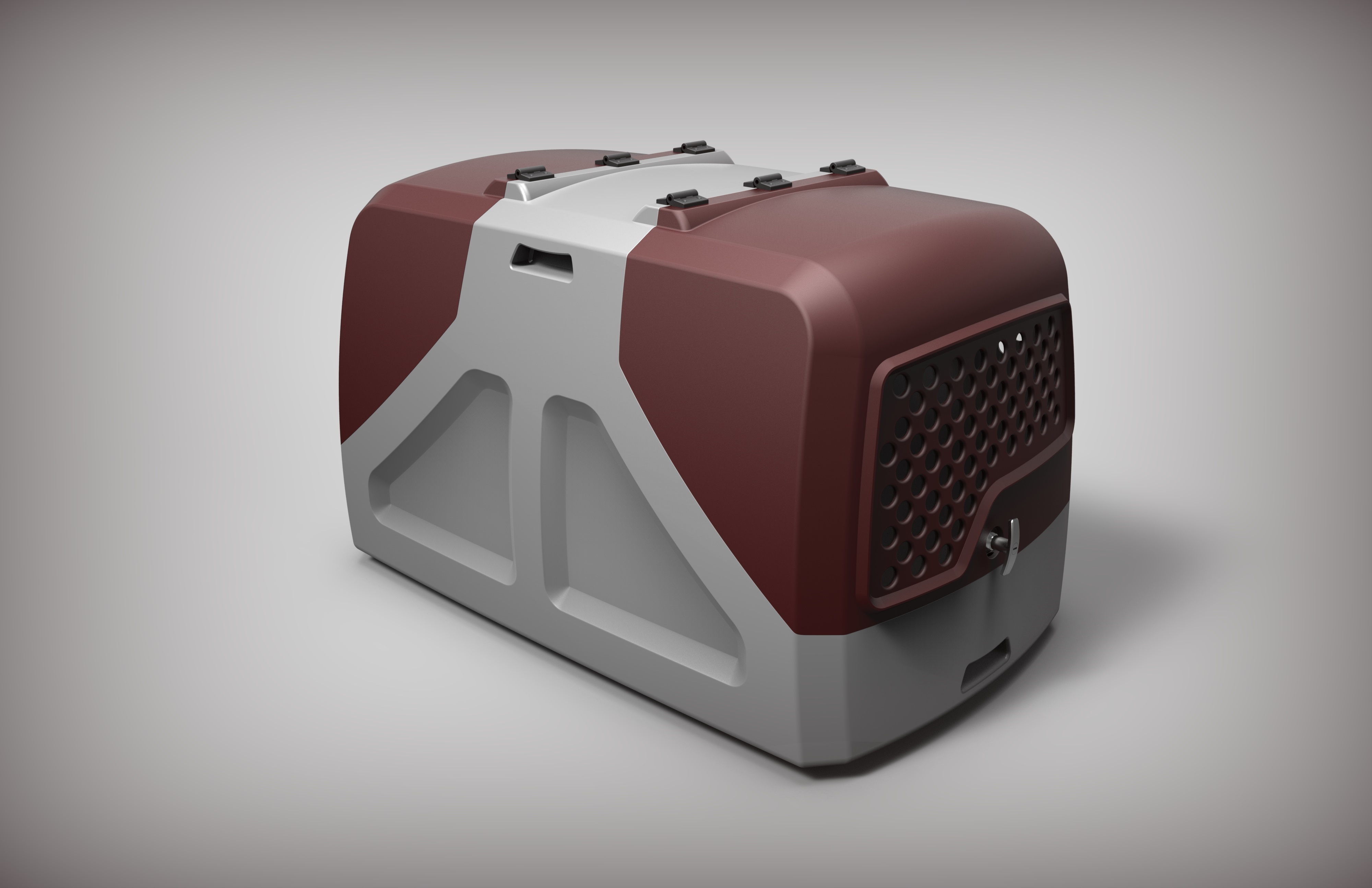 Köpek taşıma kutusu