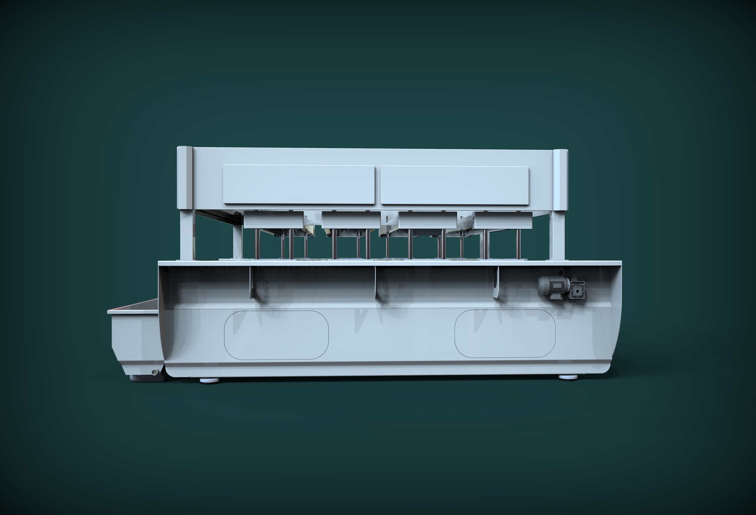 Halı yıkama giydirmesi / 1