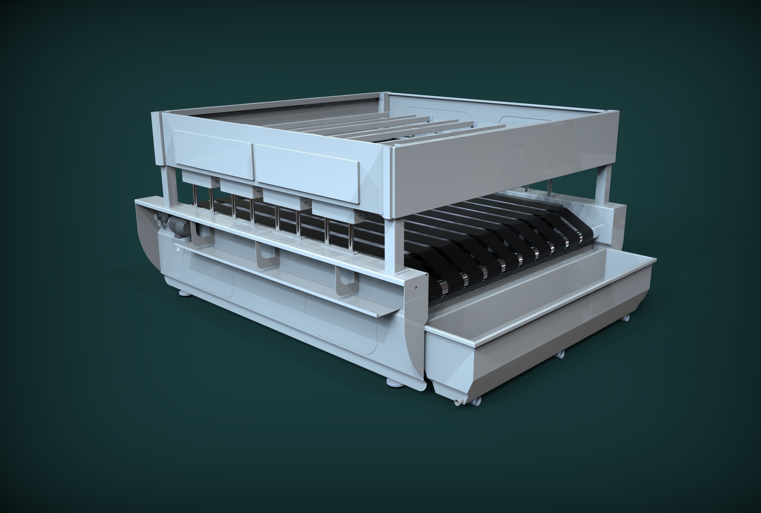 Halı yıkama giydirmesi / 1