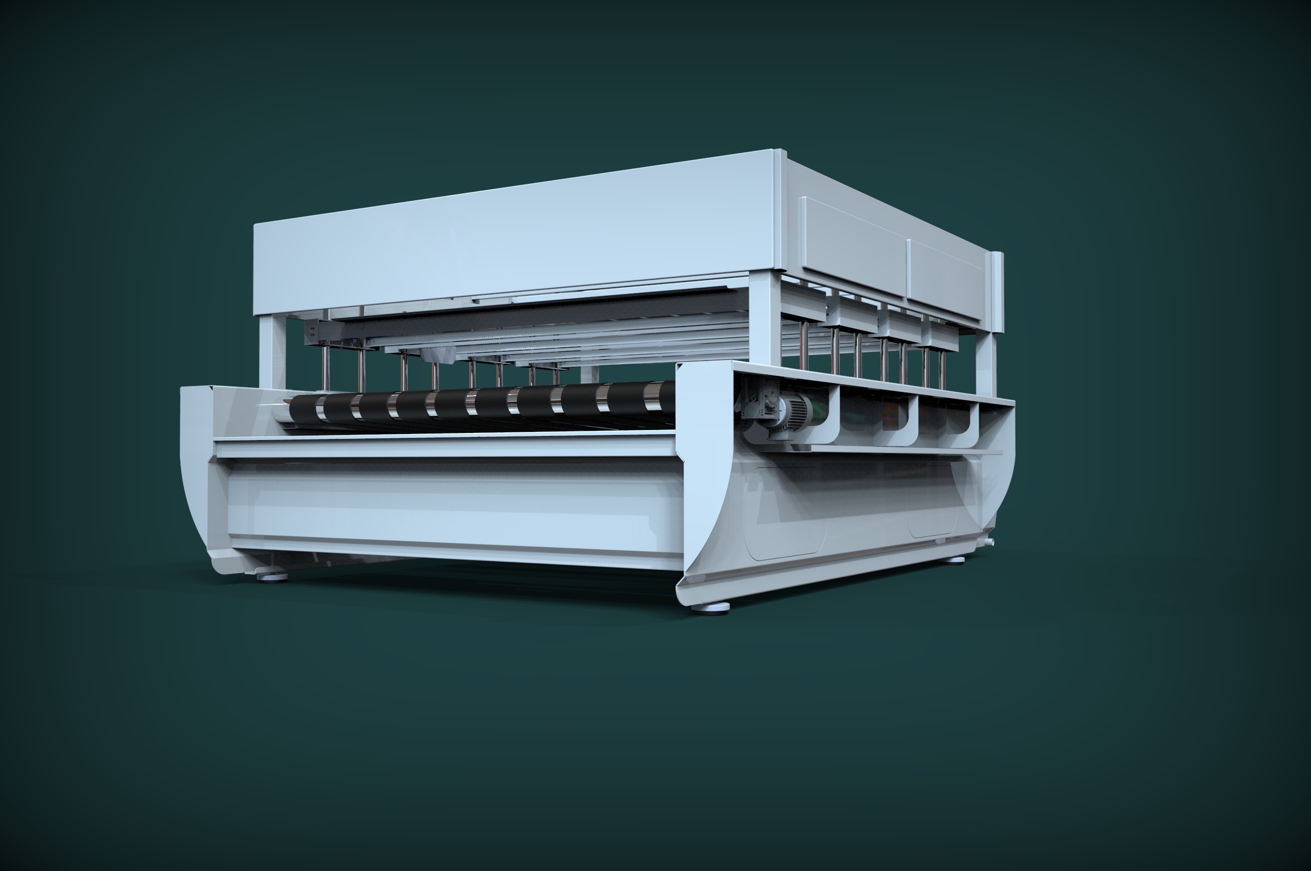 Halı yıkama giydirmesi / 1